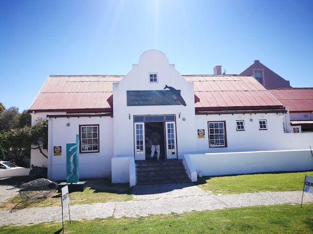 Whale Museum